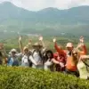 A vegan group tour posing in the Thai highlands in front of a tea plantation