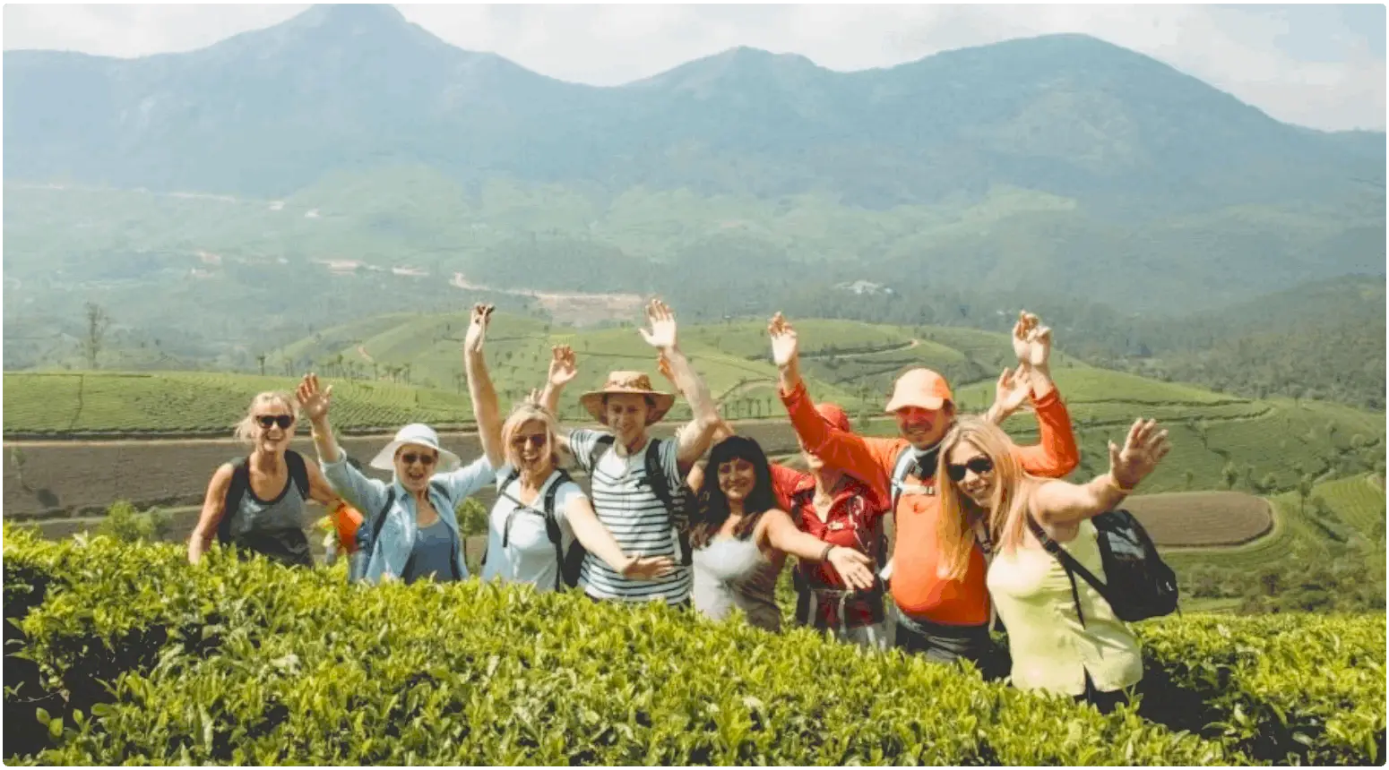 A vegan group tour posing in the Thai highlands in front of a tea plantation