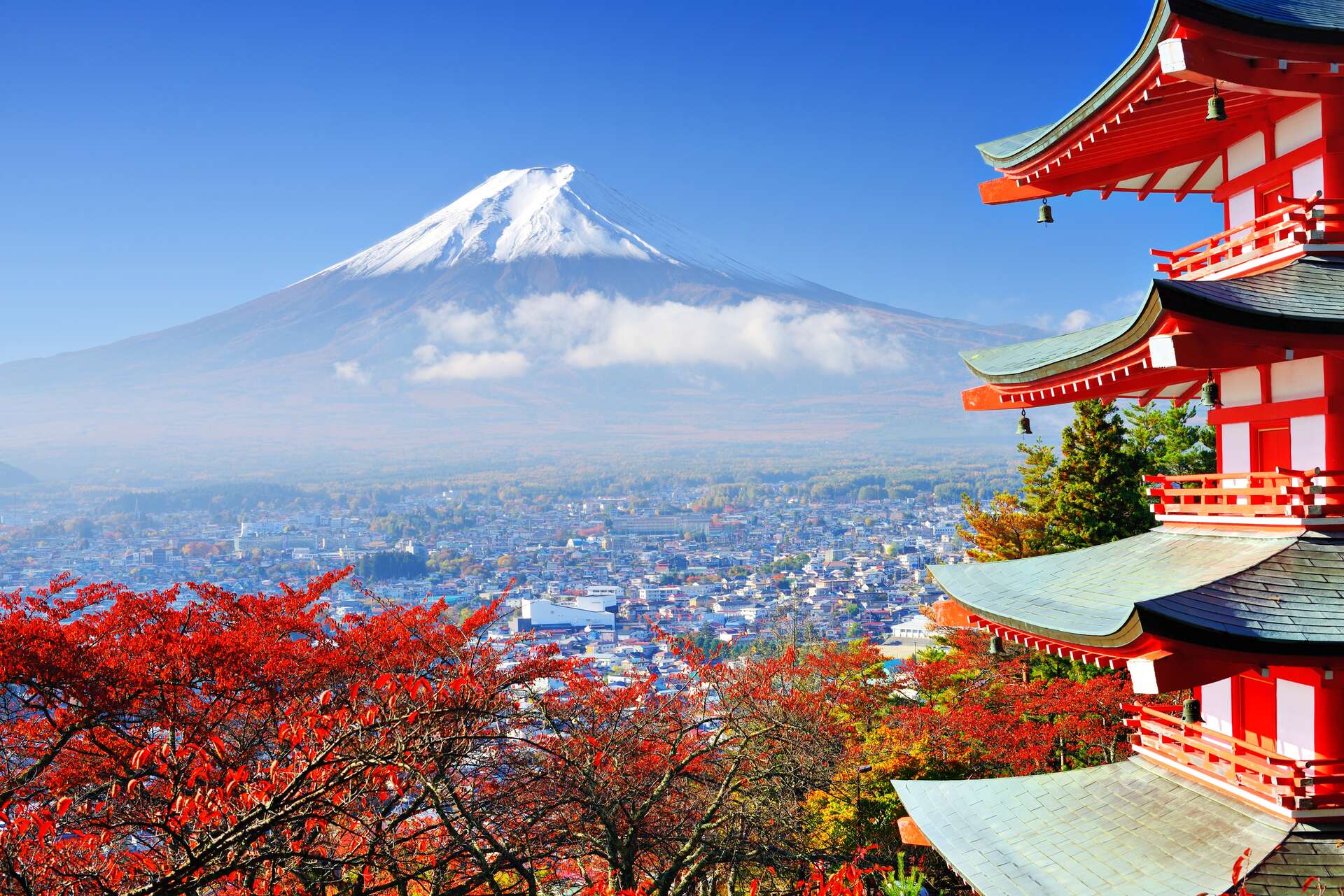 Mt. Fuji in the Autumn