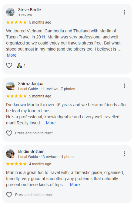GoVegan Travel Google Reviews