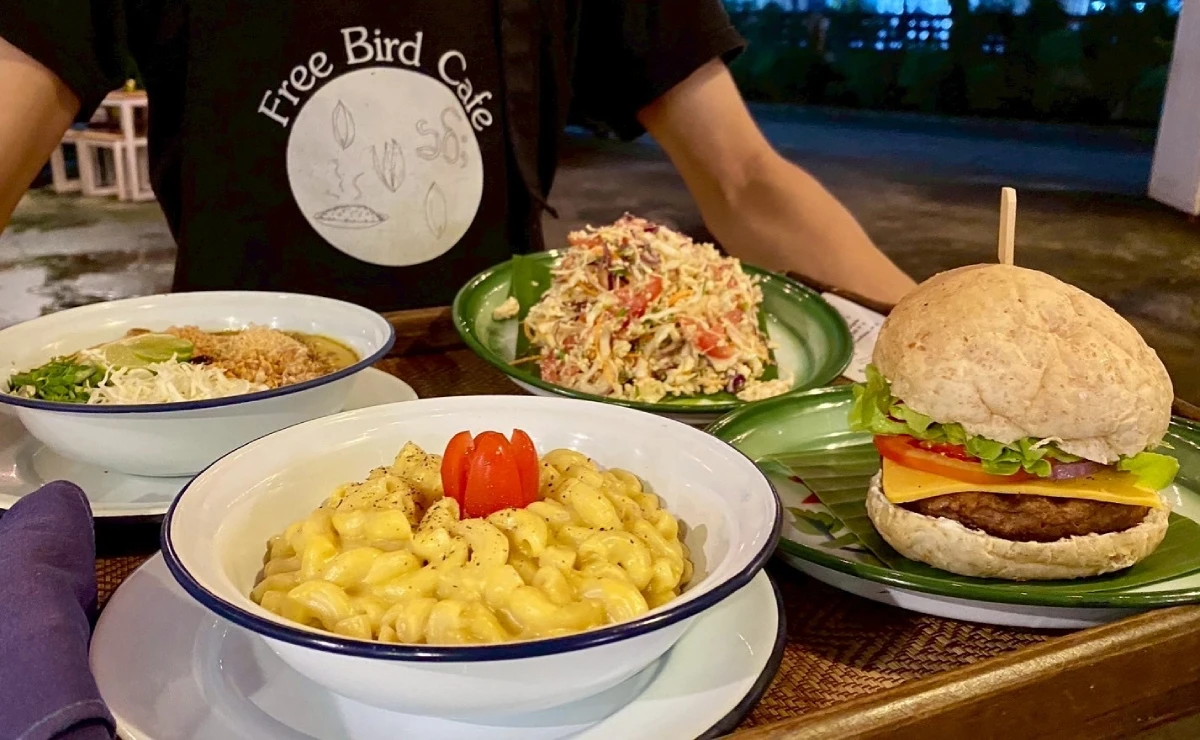 Payod Shan – Vegan Chiang Mai restaurant, serving authentic Myanmar style local vegan food in Chiang Mai