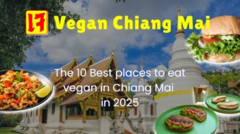 An image of Chiang Mai with dishes from the best vegan restaurants Chiang Mai – Chiang Mai vegan guide