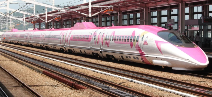 Vegan travellers exploring Kanazawa's historic streets and market