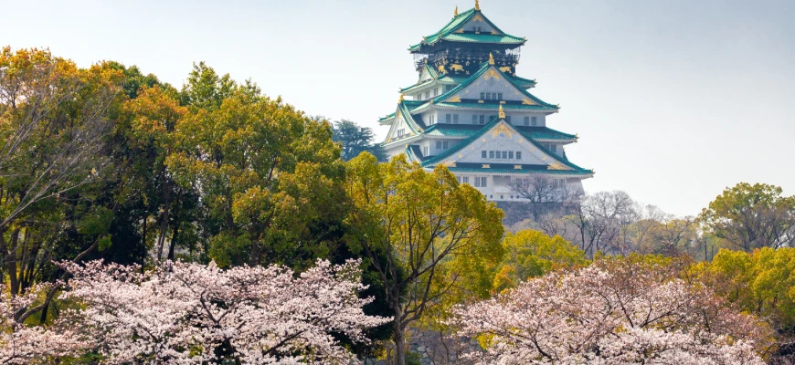 Exploring Nara and Osaka on a vegan-friendly cultural tour