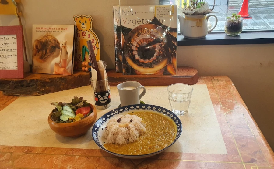 A Vegan meal in Japan