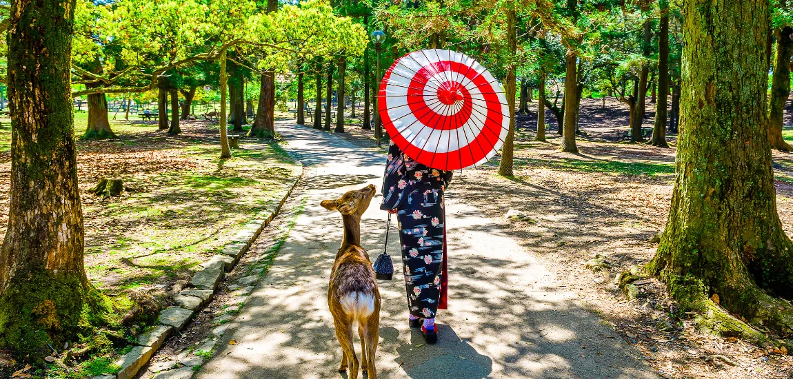 Exploring Kyoto with optional cultural experiences and workshops