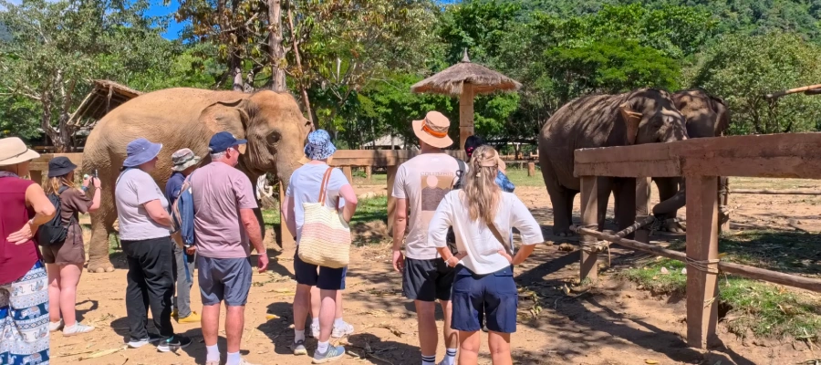 Elephant-Nature-Park vegan thailand tour